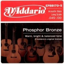 D'Addario EPBB170 Acoustic Bass Phosphor Bronze 4 String